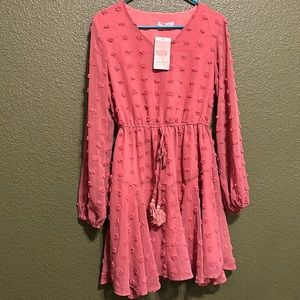Brand New Pink long Sleeve Dress